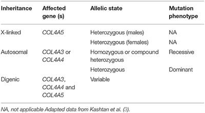 Novel Therapies for Alport Syndrome